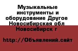 Музыкальные инструменты и оборудование Другое. Новосибирская обл.,Новосибирск г.